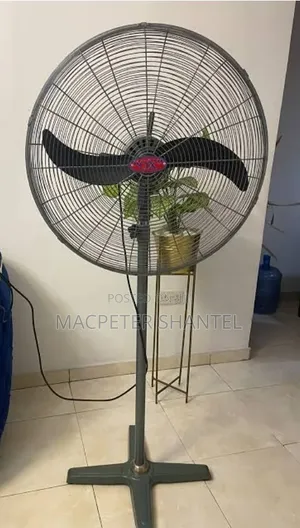 24 Inches Standing Ox Fan