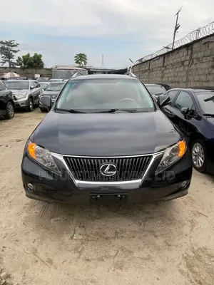 Lexus RX 2010 Gray