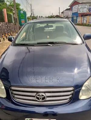 Toyota Corolla 2005 Blue