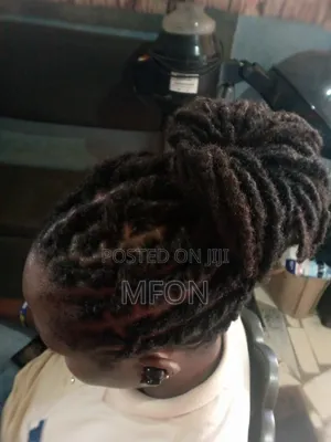 Dreadlock and Braids
