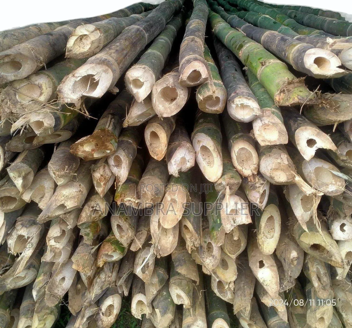 Bamboo Poles