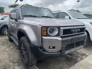 Toyota Land Cruiser 2025 Gray