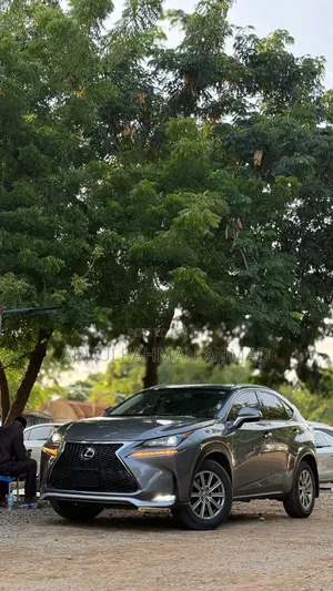 Lexus NX 2017 Brown