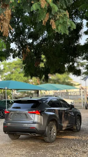 Lexus NX 2017 Brown