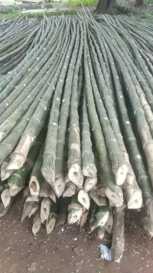 Quality Bamboo Poles for Sale!