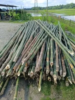 Bamboo Poles