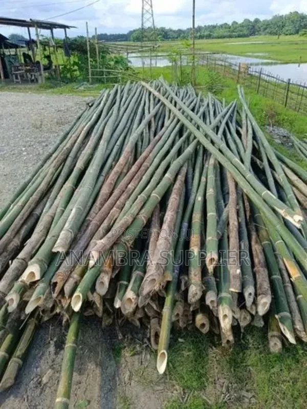 Bamboo Poles