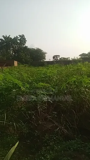 1 Plot of Land at Isuaniocha