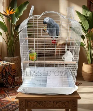 African Grey Bird Cage Available as Seen