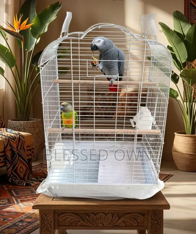 African Grey Bird Cage Available as Seen