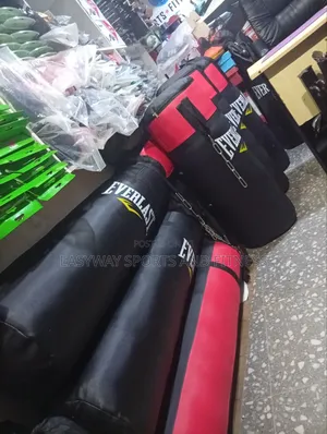 Everlast Punching Bags