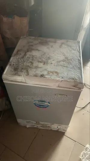 Thermacool Deep Freezer 140l