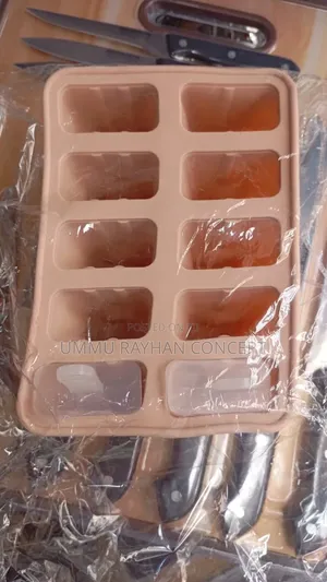 10 Holes Popsicle Mould