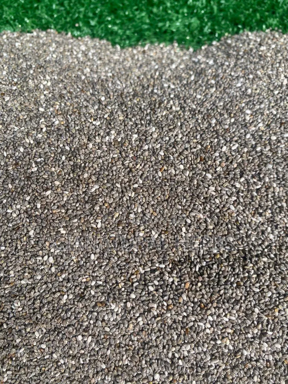 Chia Seeds
