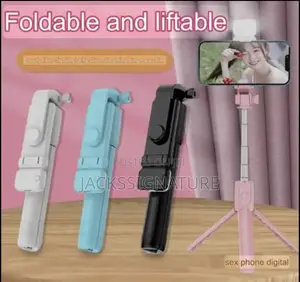 F310s Selfie Stick