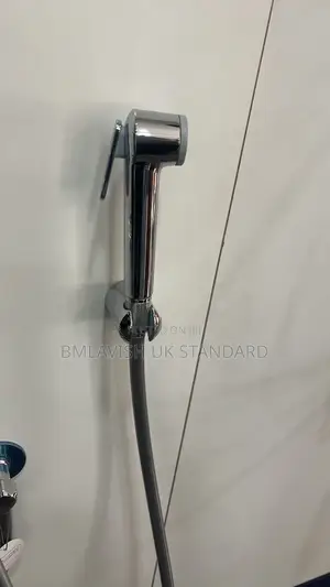 Grohe Bidet Sprayer Silver