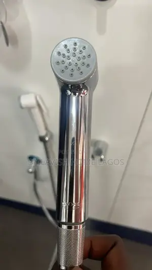 Grohe Bidet Sprayer Silver