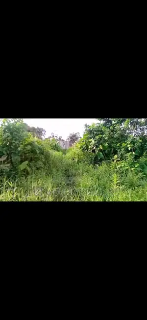 Full Plot at 6th Avenue Festac Town Lagos