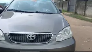 Toyota Corolla 2007 Gray