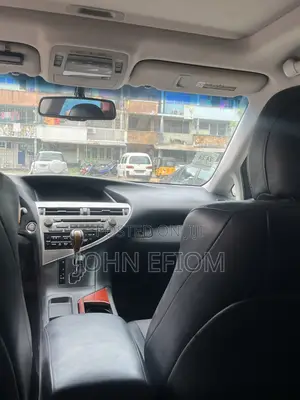 Lexus RX 2010 Gray