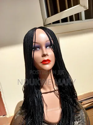 Braided Wig