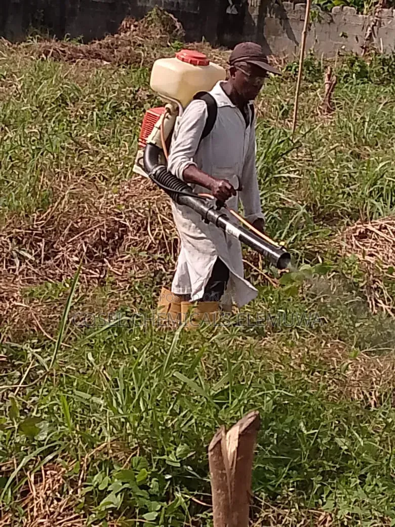 Fumigation and Cleaning Services