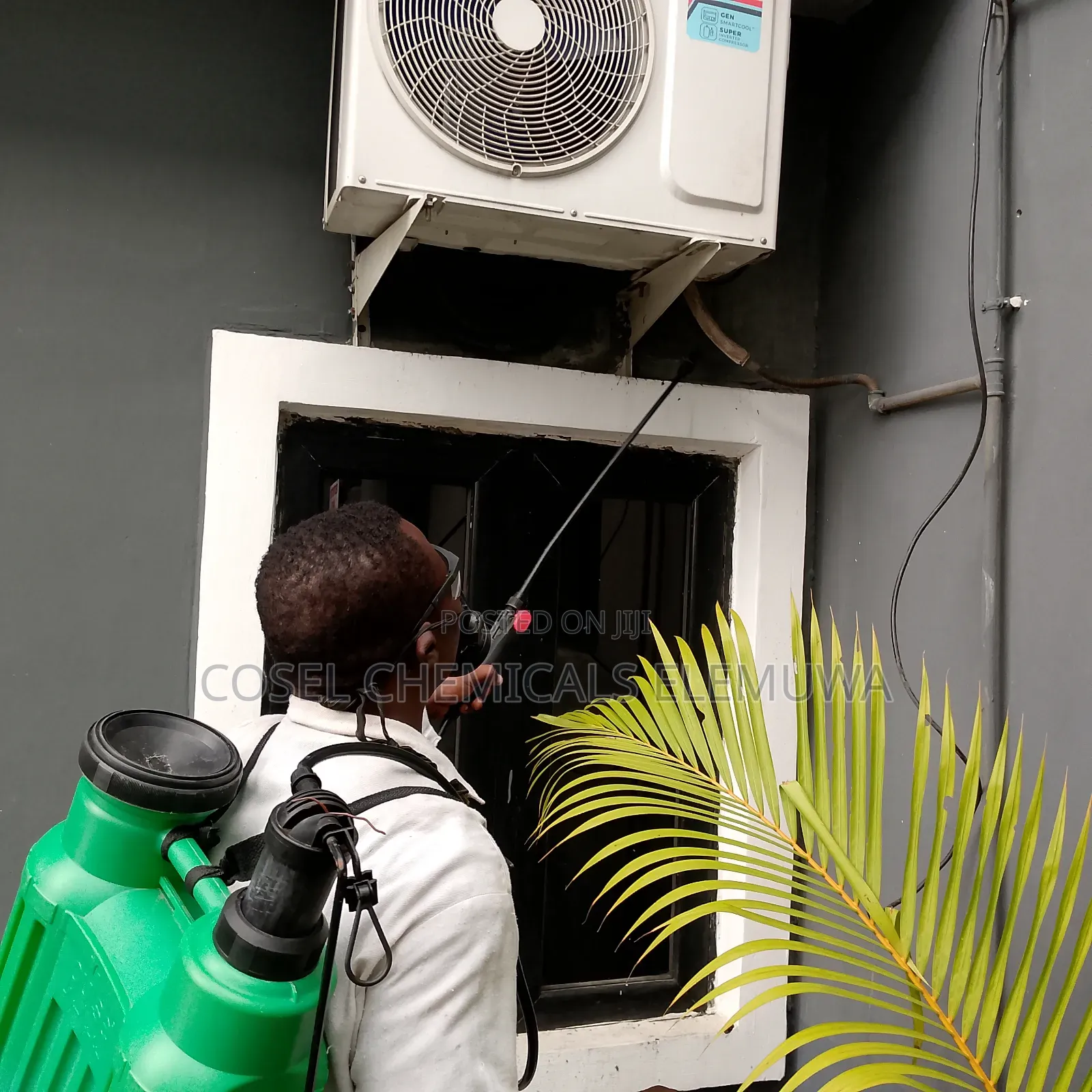 Fumigation and Cleaning Services