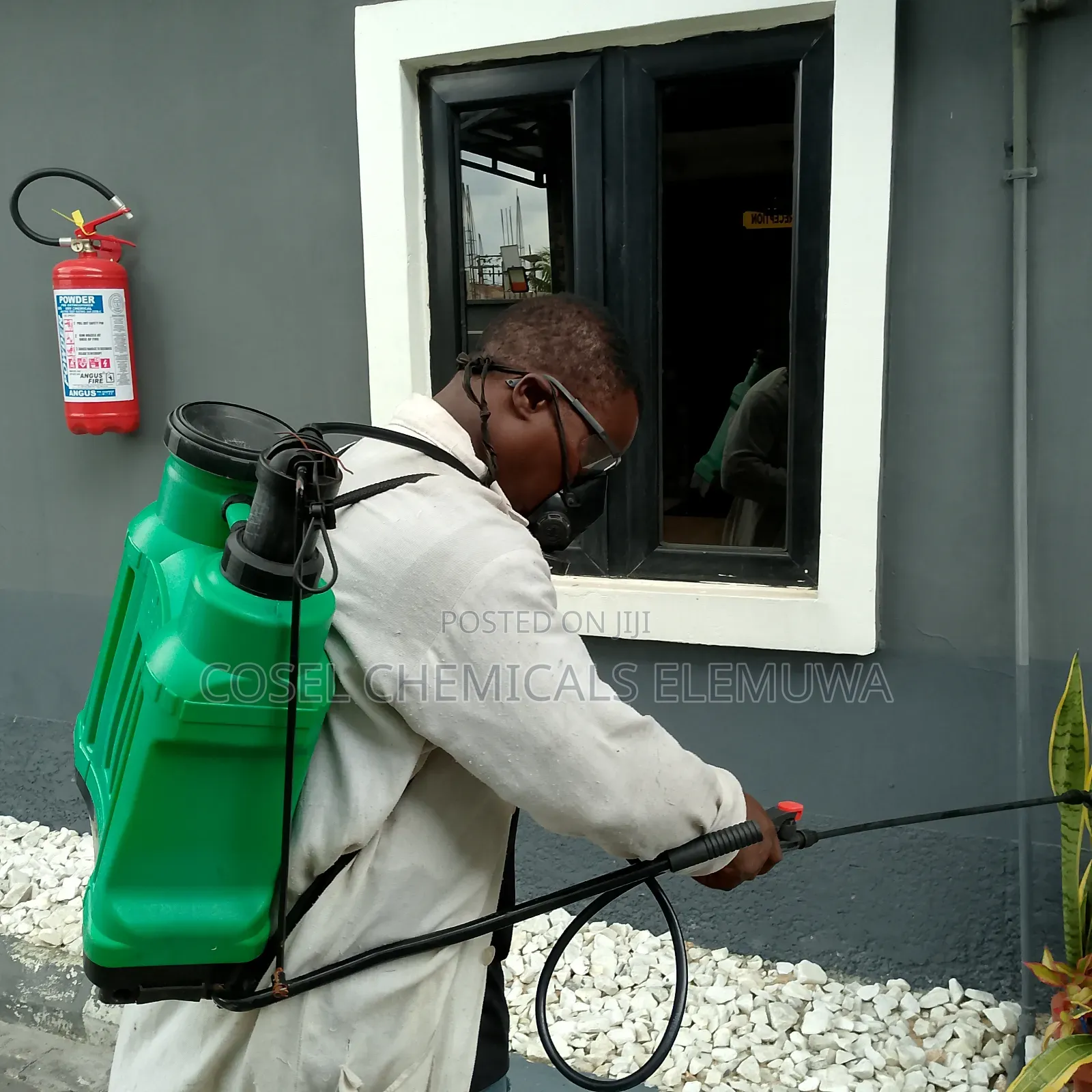 Fumigation and Cleaning Services