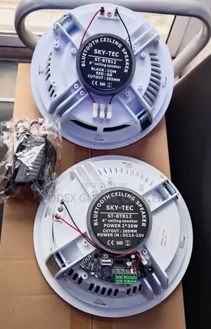 2 in 1 Bluetooth Ceiling Speaker Speaker