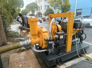 Dewatering Pump 6x6"