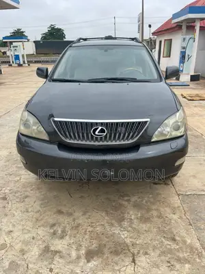 Lexus RX 330 2005 Gray