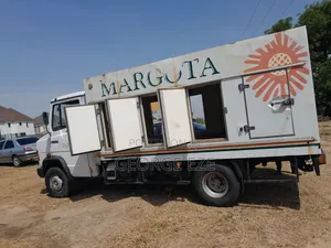 Mercedes Benz Cooling Van