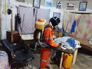 Pest Control, Fumigation and I.P.M Services