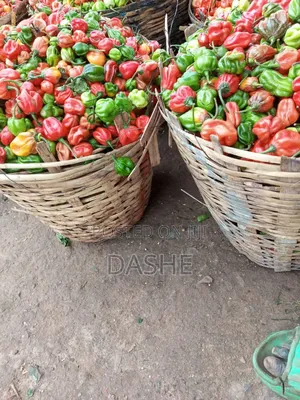 Fresh Hot Spicy Pepper