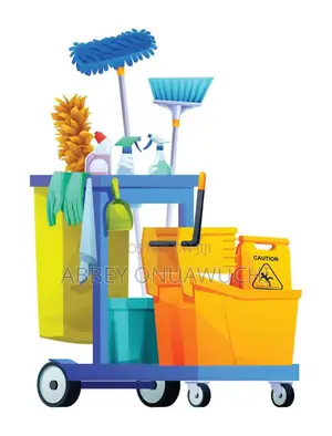 Experience Housekeeper Cleaner for Domestic Service