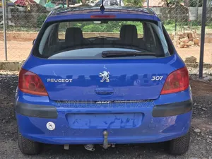 Peugeot 307 2006 Blue
