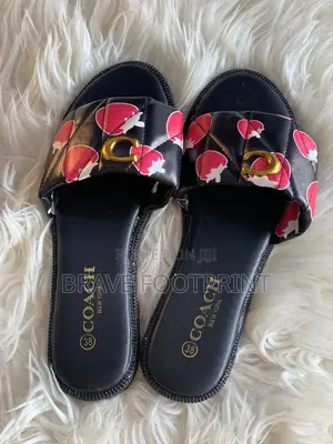 Coach Slides