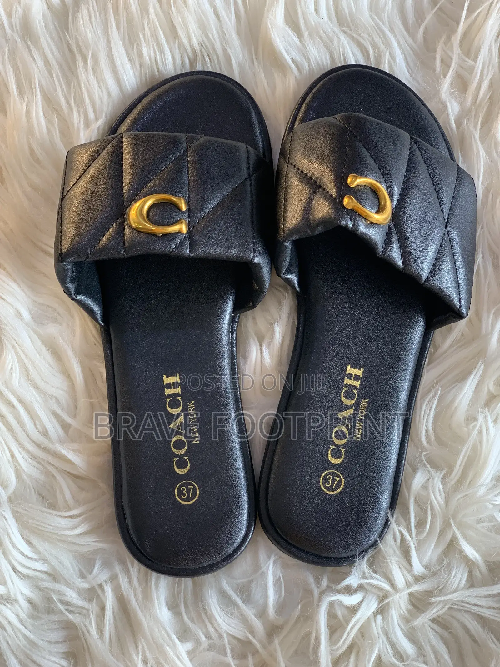 Coach Slides