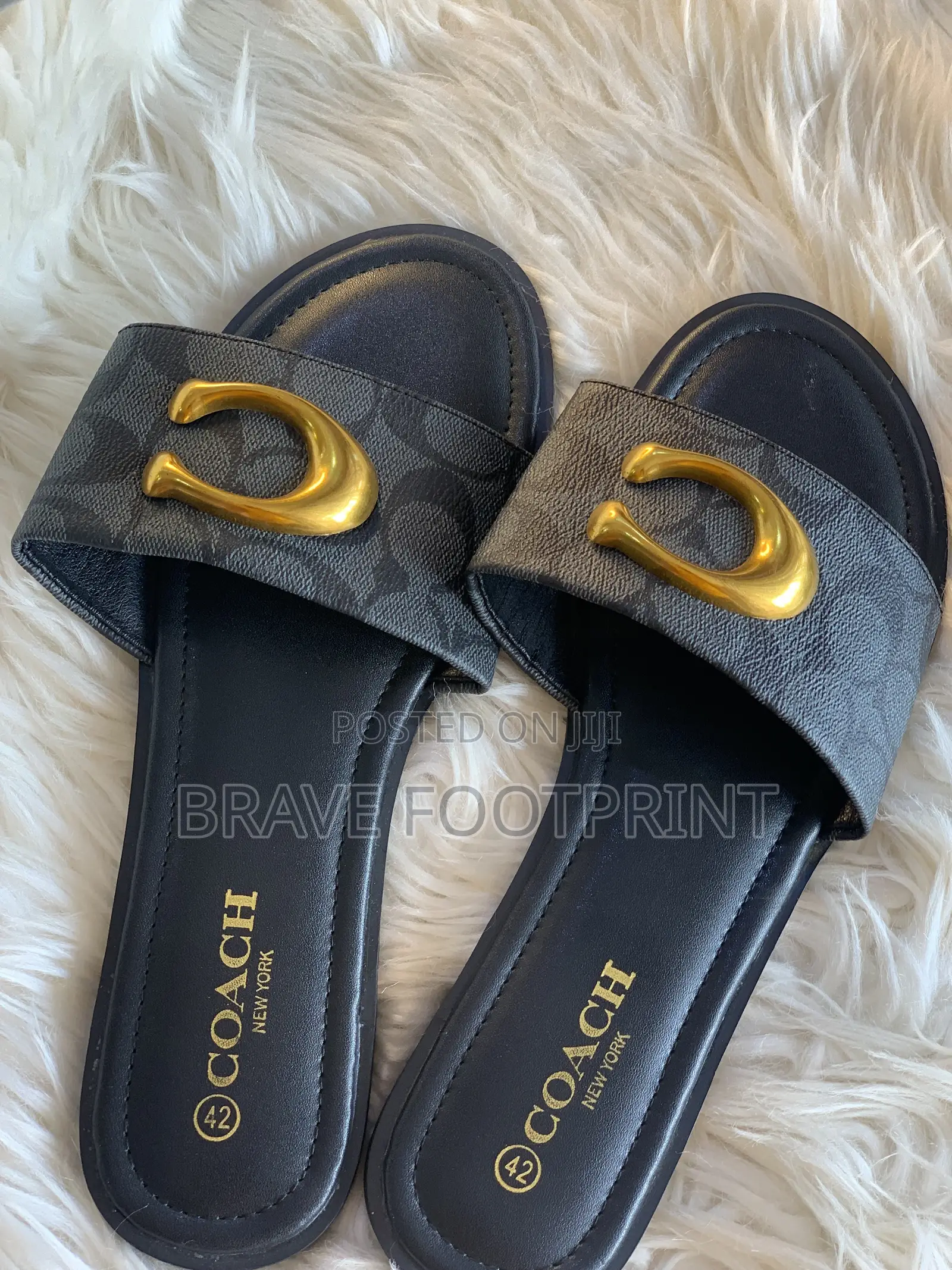 Coach Slides