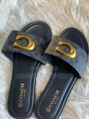 Coach Slides