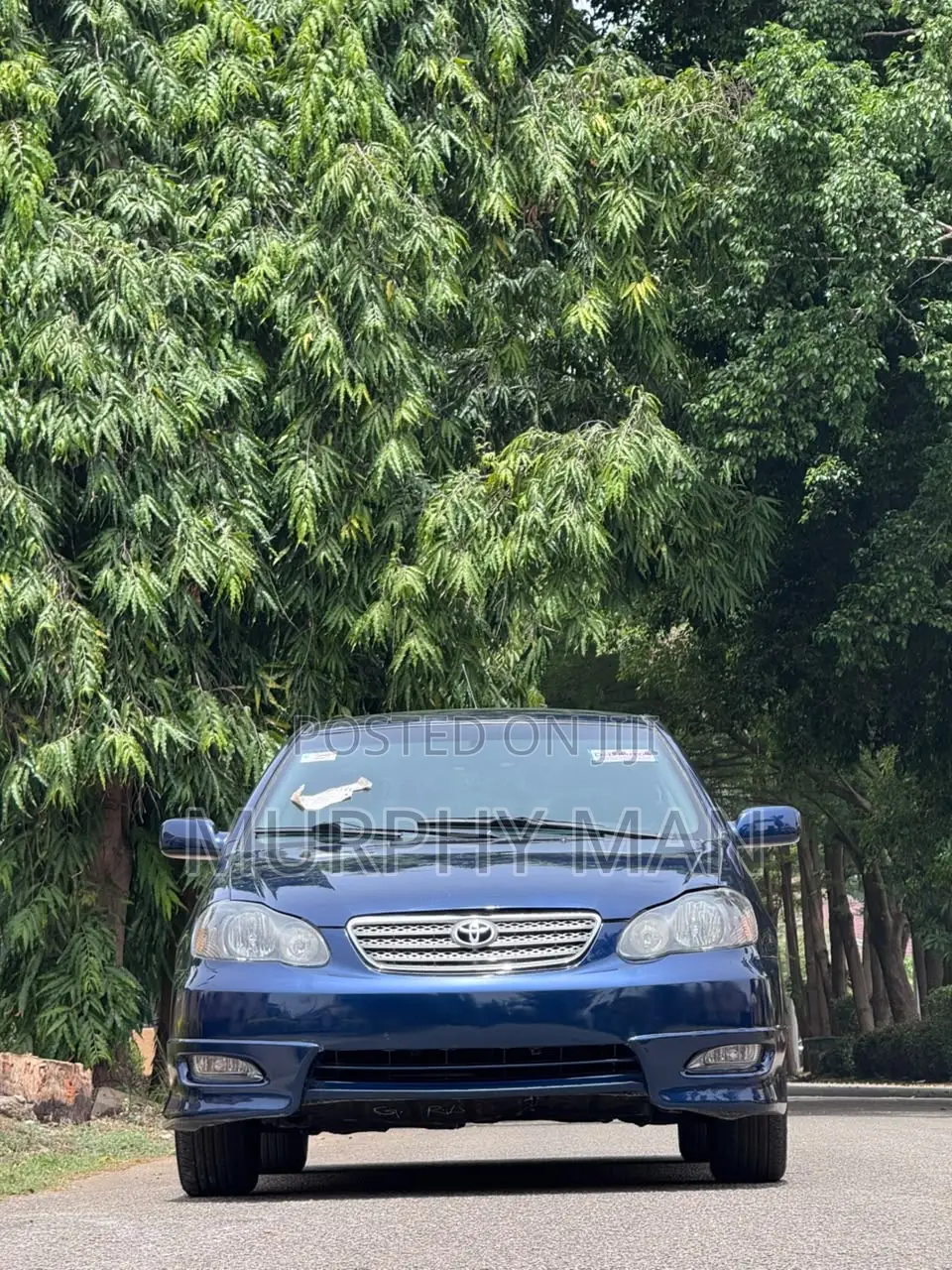 Toyota Corolla 2006 Blue