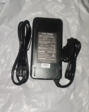 Ebike Lithium Chargers 54.6v, 67.2v