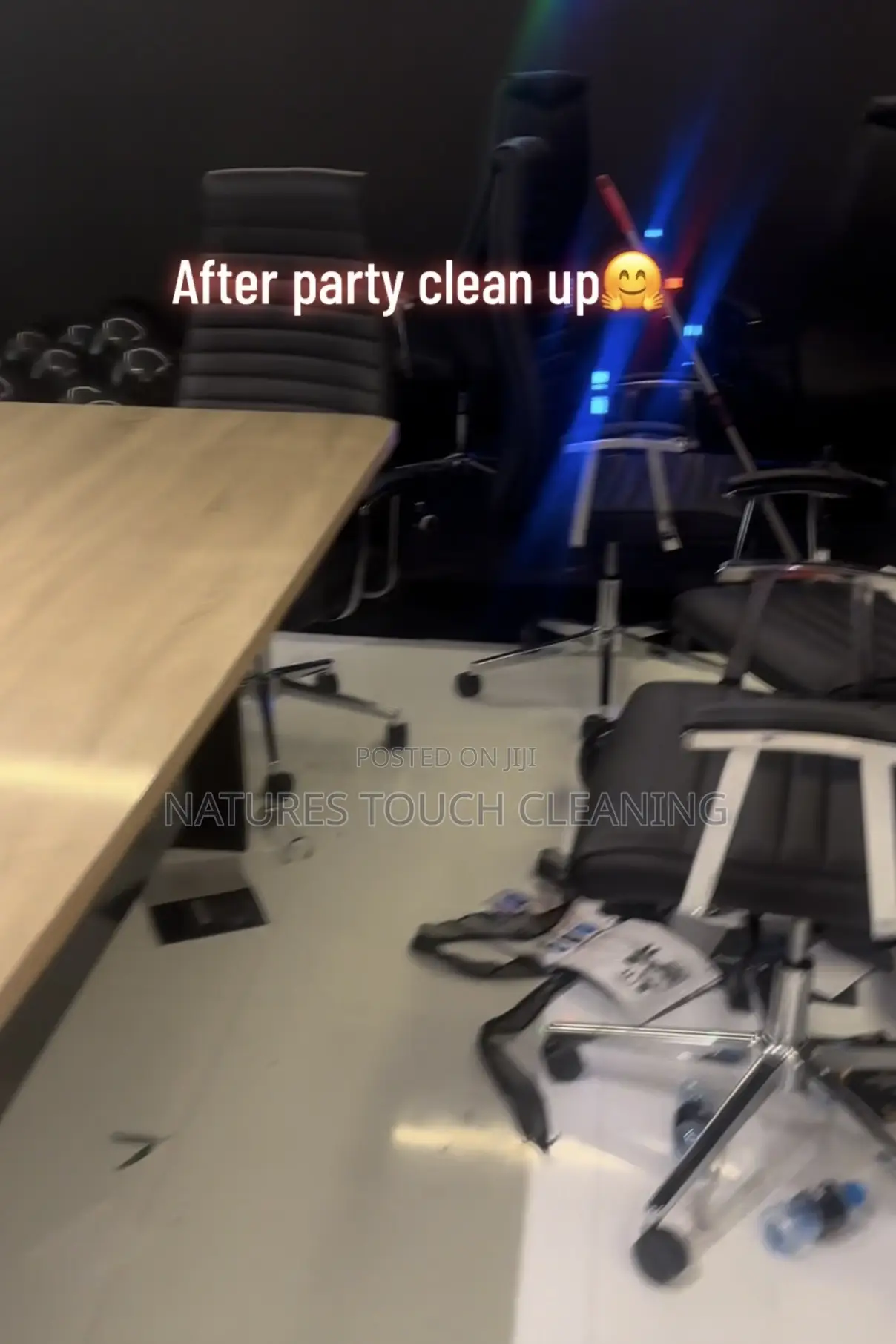 Professional Cleaning Services