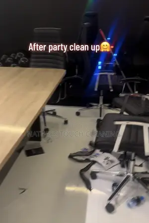 Professional Cleaning Services