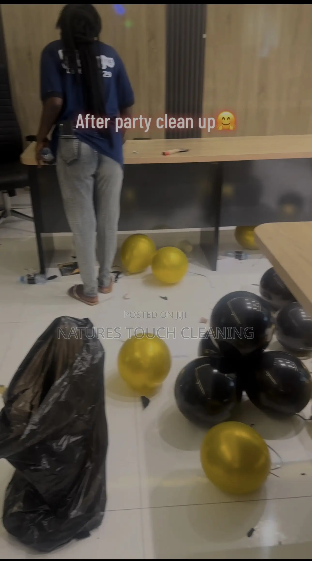 Professional Cleaning Services