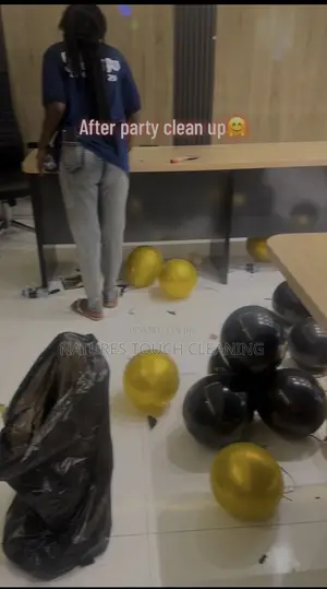 Professional Cleaning Services