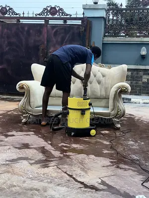 Professional Cleaning Services