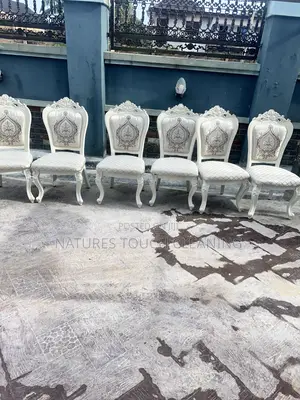 Professional Cleaning Services