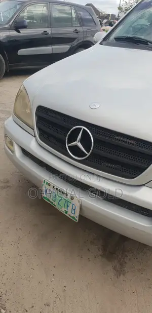 Mercedes-Benz M Class Ml 320 2003 Silver