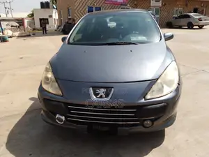 Peugeot 307 2008 Gray